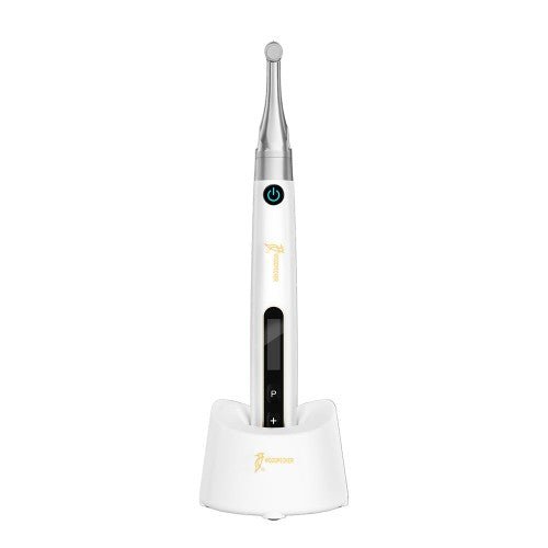 Woodpecker Endo Pace Endo Motor - Woodpecker - GoldenDent
